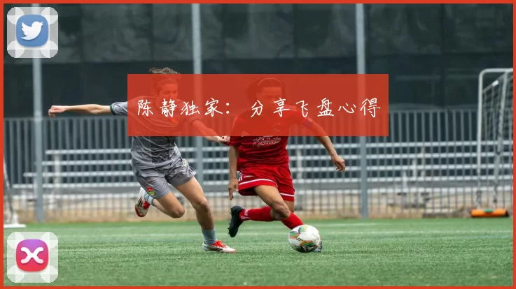 陈静独家：分享飞盘心得