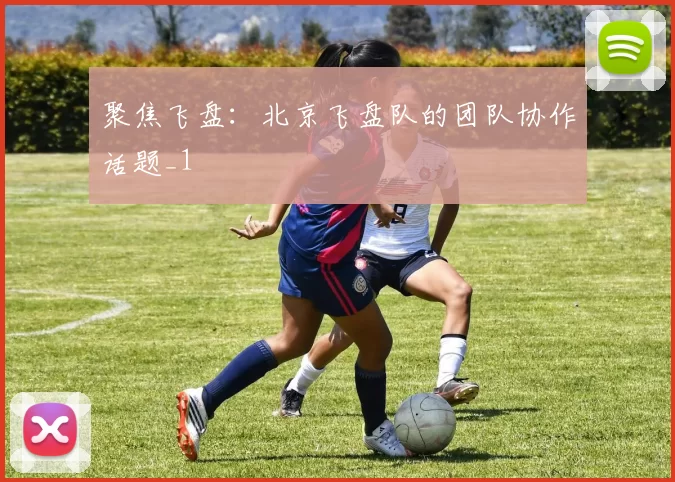 聚焦飞盘：北京飞盘队的团队协作话题_1