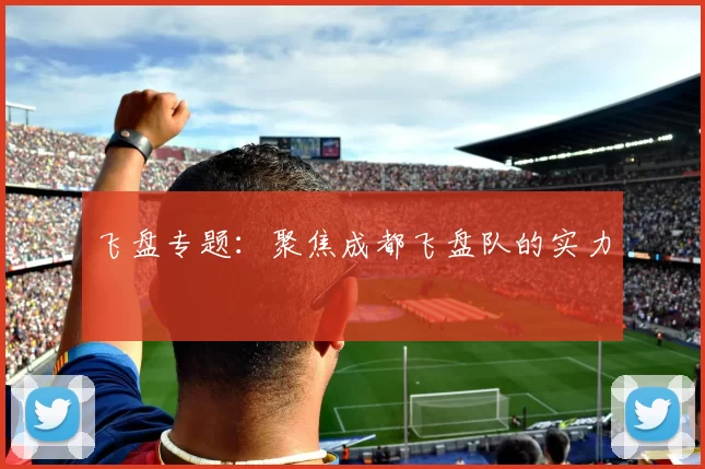 飞盘专题：聚焦成都飞盘队的实力