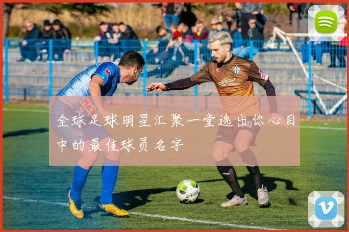 全球足球明星汇聚一堂选出你心目中的最佳球员名字