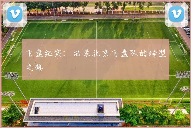 飞盘纪实：记录北京飞盘队的转型之路