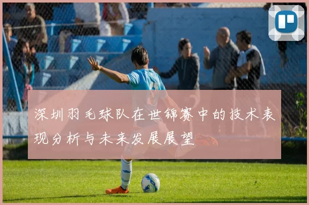 深圳羽毛球队在世锦赛中的技术表现分析与未来发展展望